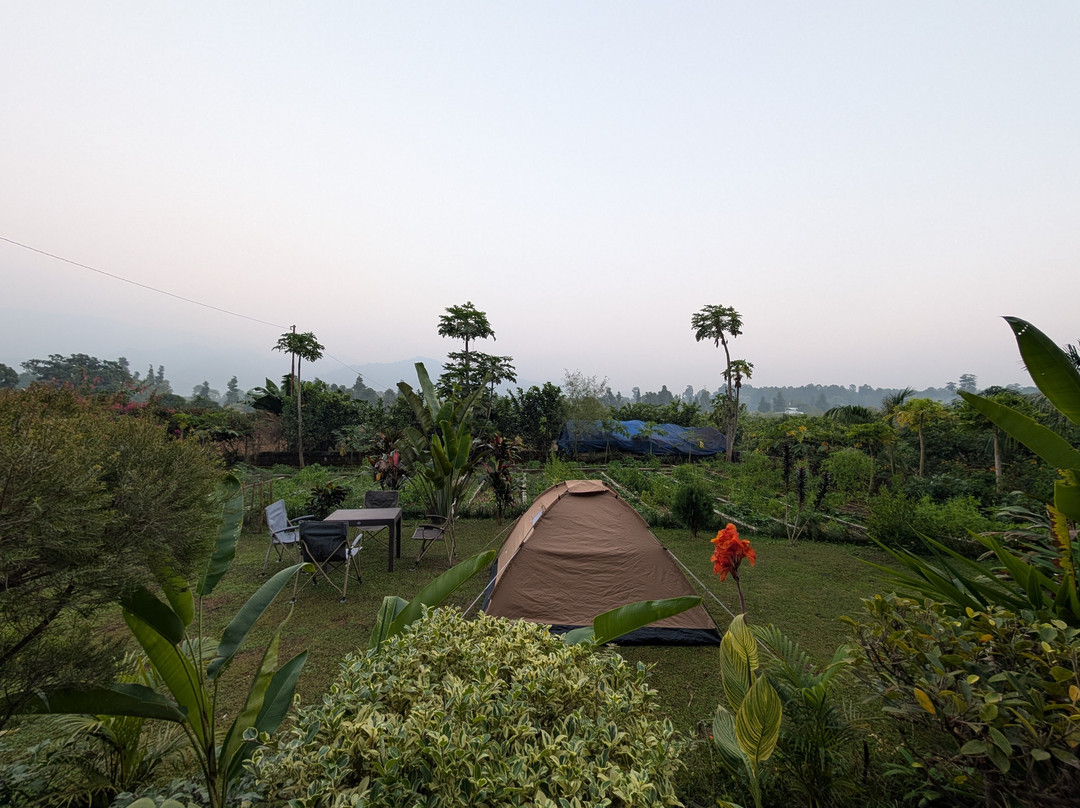 Forest Side Farm主图