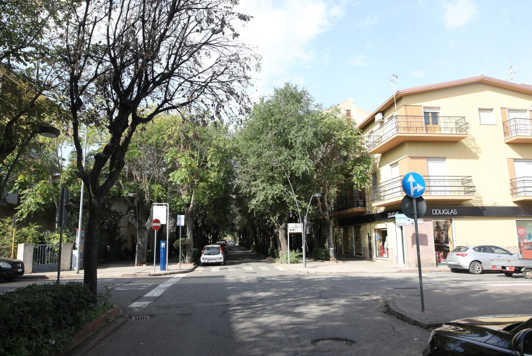 Piazza Costituzione-博萨必去景点