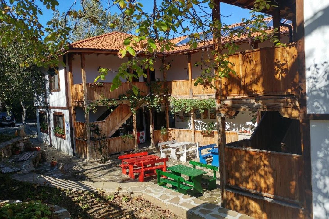 Forest House