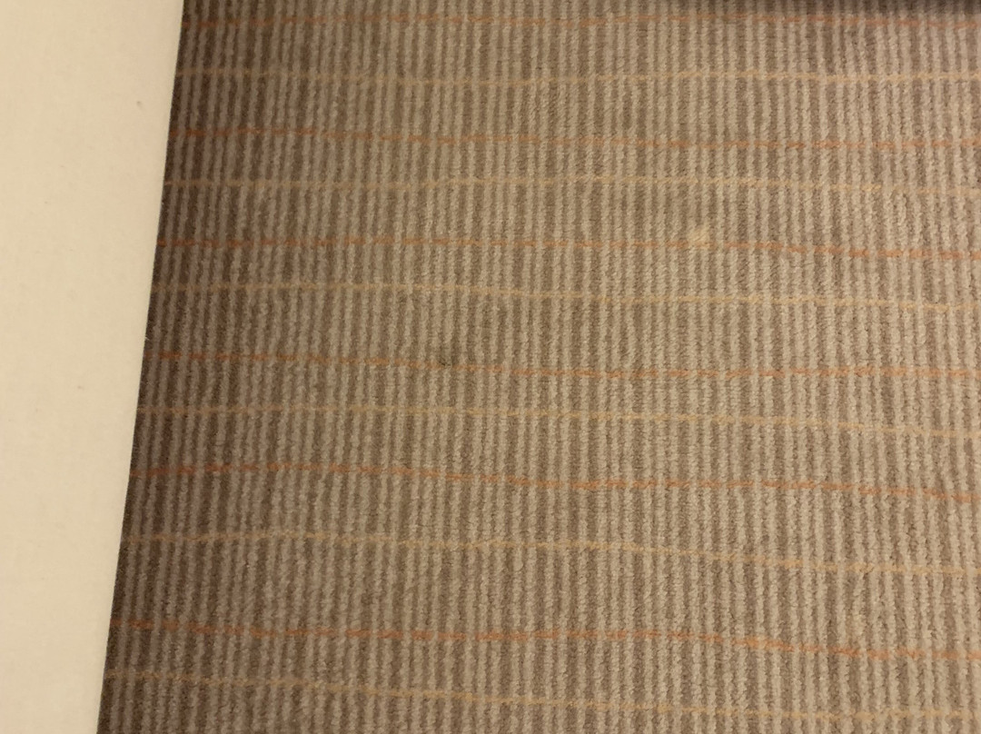 公园由雷迪森酒店美因茨主图