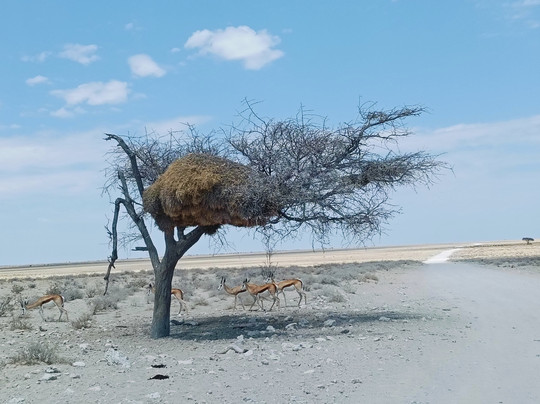 Goldwing Tourism-温德和克必去景点