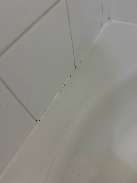 Super 8 by Wyndham Peterborough主图