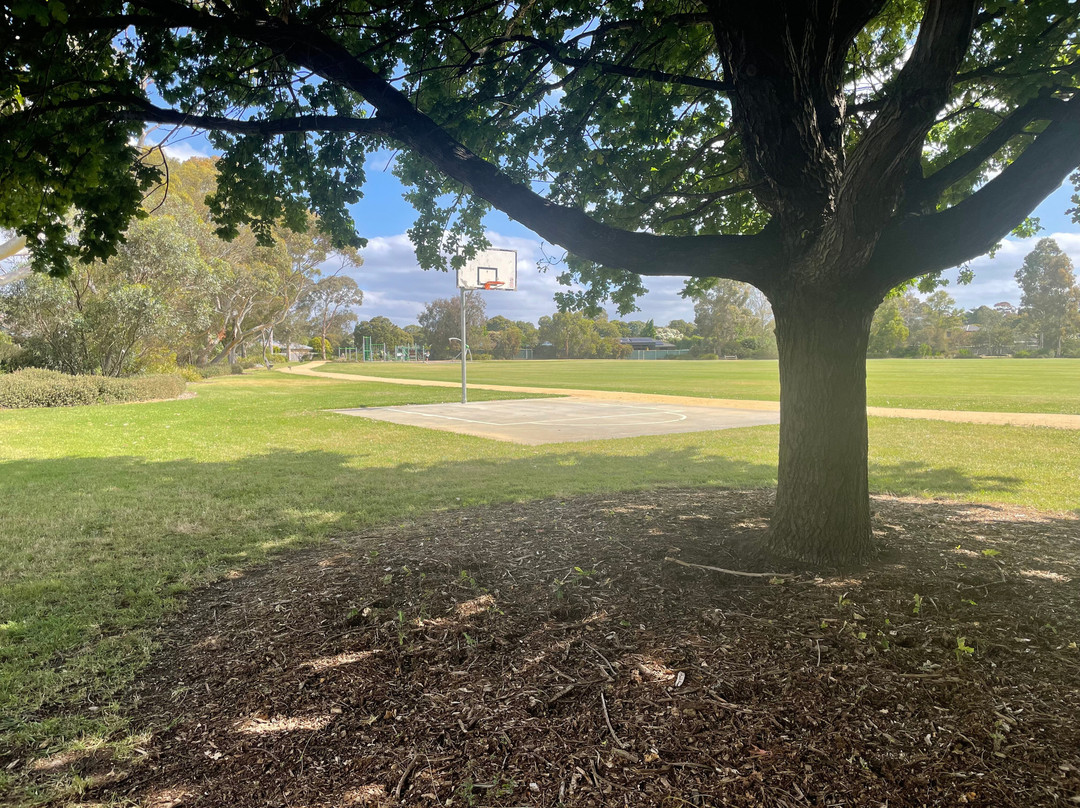 Stead Reserve-塞尔必去景点