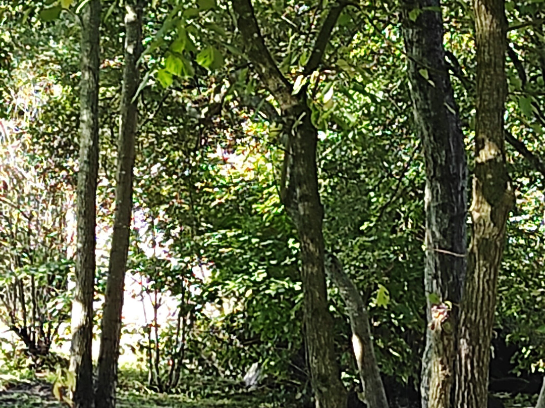 Le Moulin à Foulon-Cugand必去景点