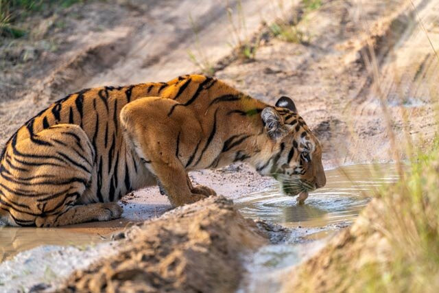 Excellent Stay At Mall主图