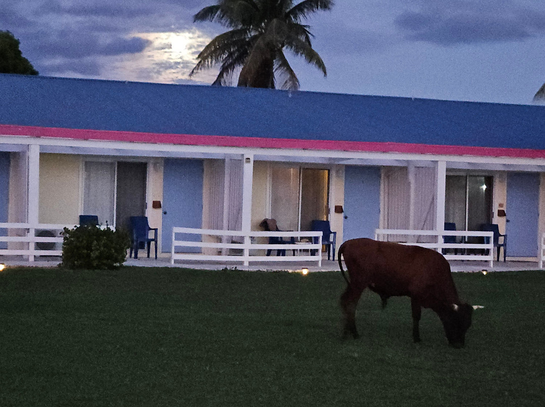 Anegada Reef Hotel主图