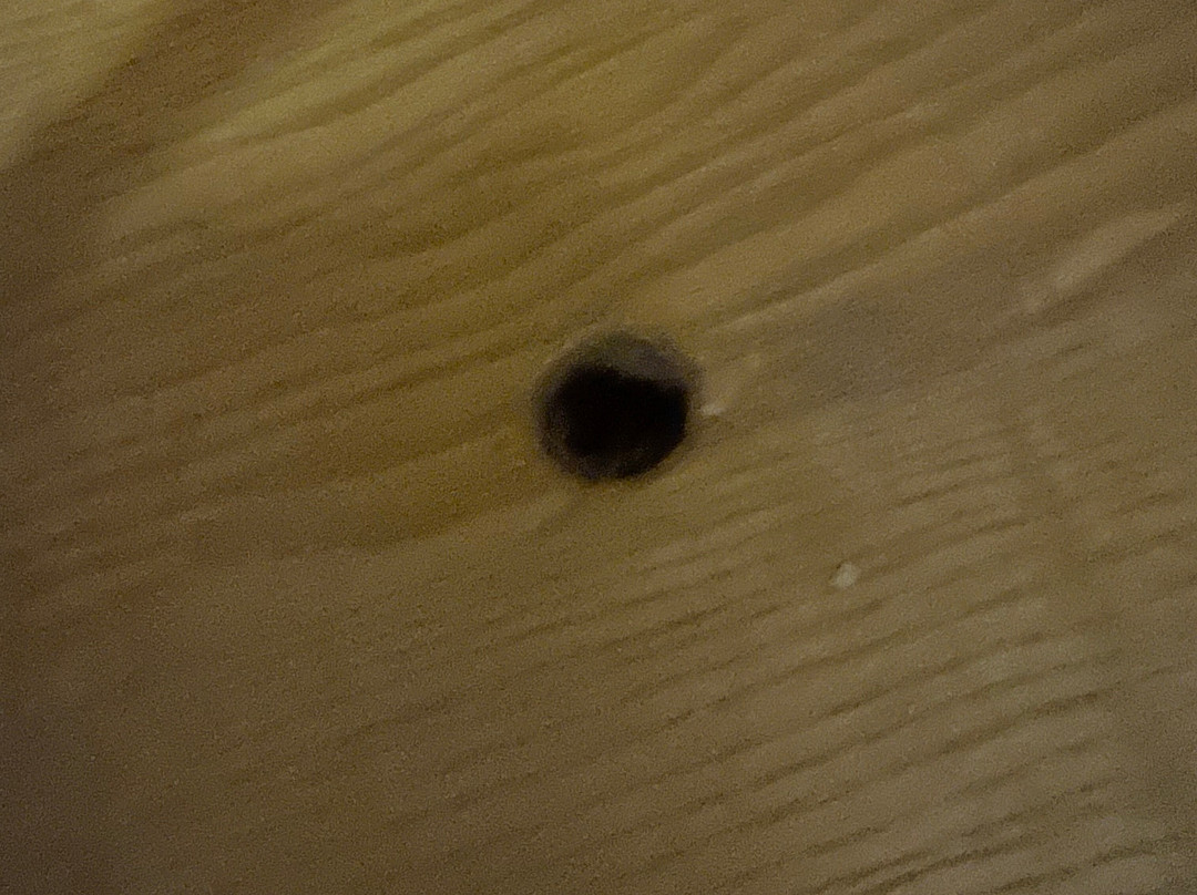 Bosworth Hall Hotel & Spa主图