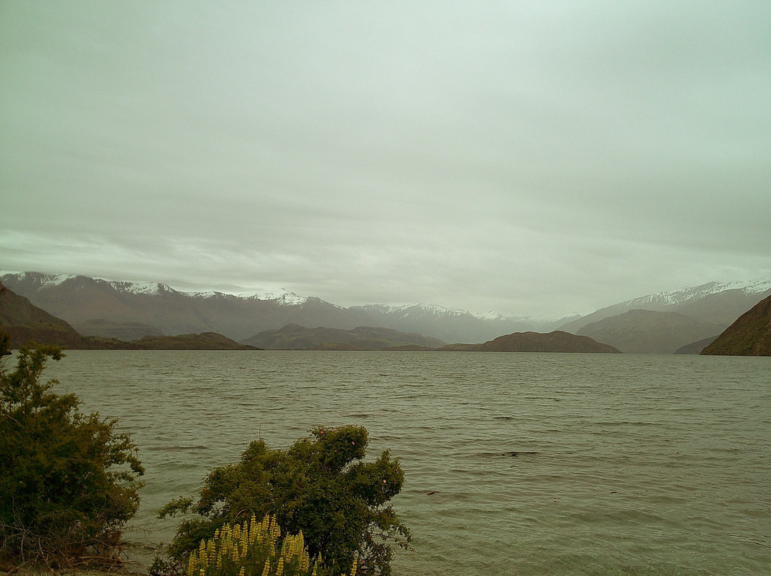 Wanaka Wine Tours-瓦纳卡必去景点