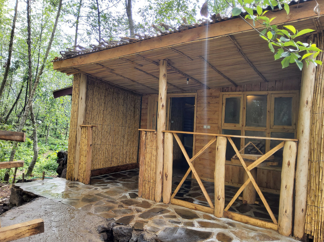 Volcanoes Forest Camp主图