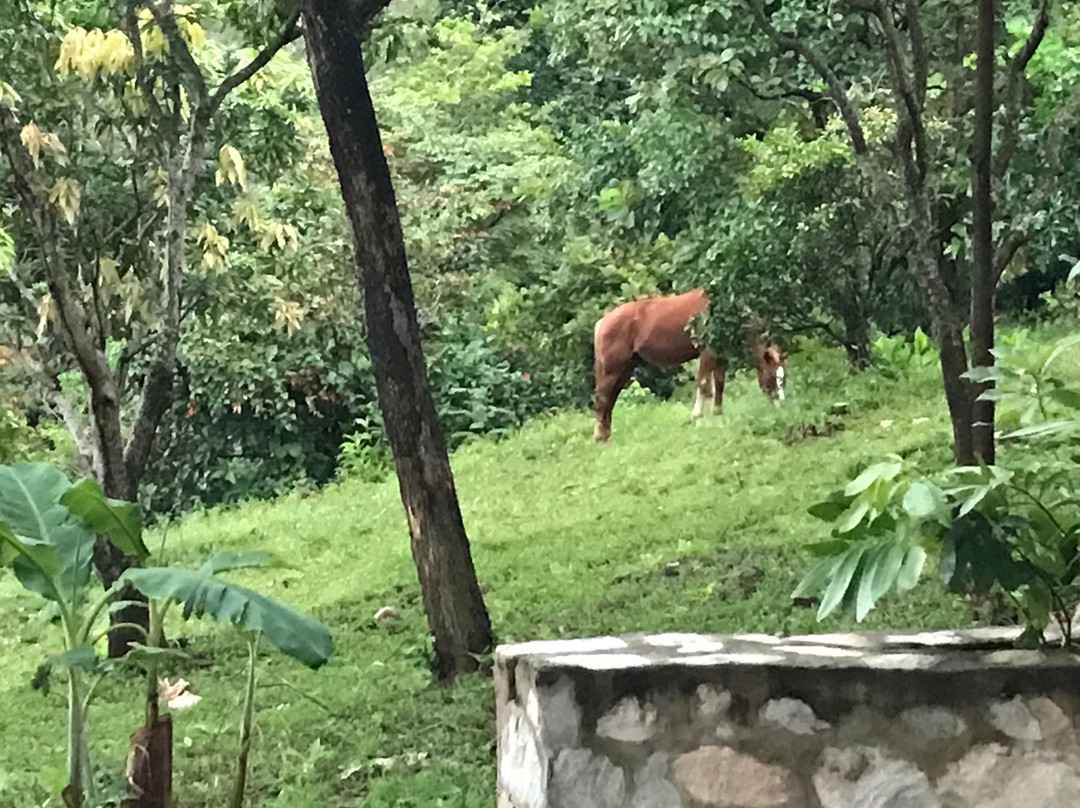 Finca Ecologica Casa Cumbres主图