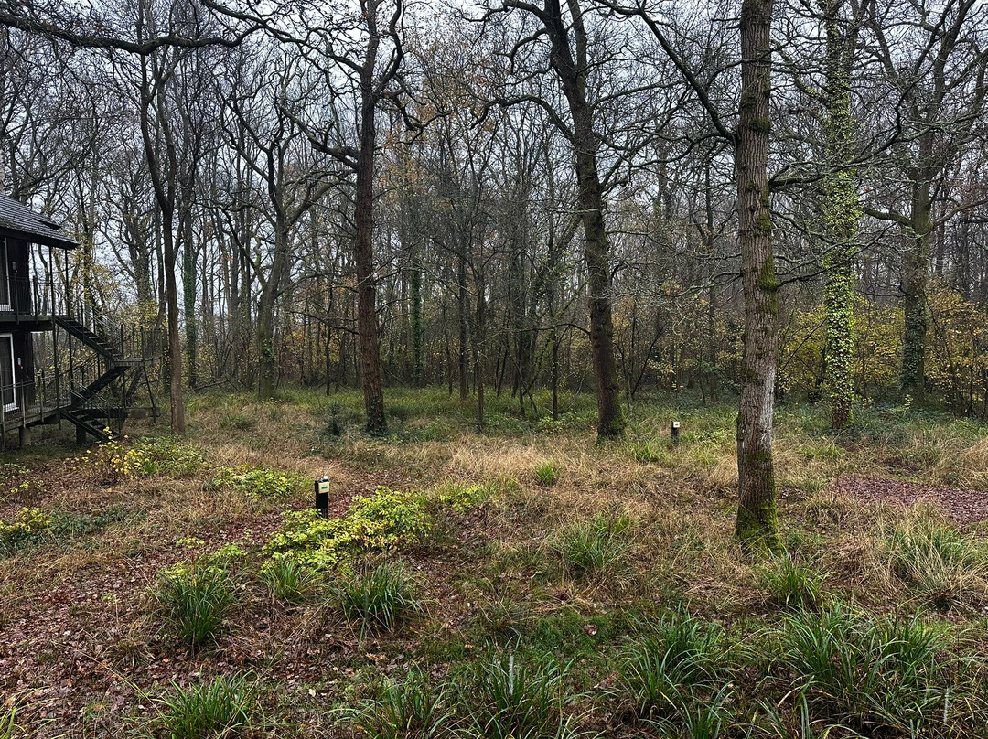 Marwell Hotel Winchester South主图