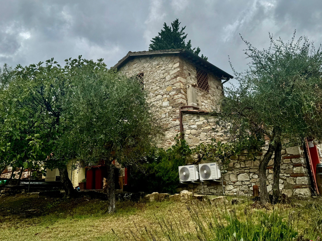 Tours of Tuscany Pty Ltd-科尔托纳必去景点