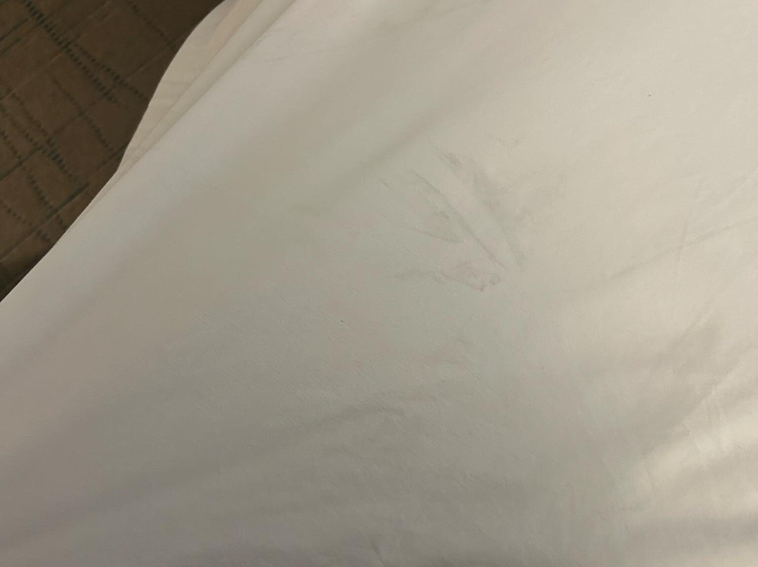 Best Western Sevierville/Kodak Inn主图