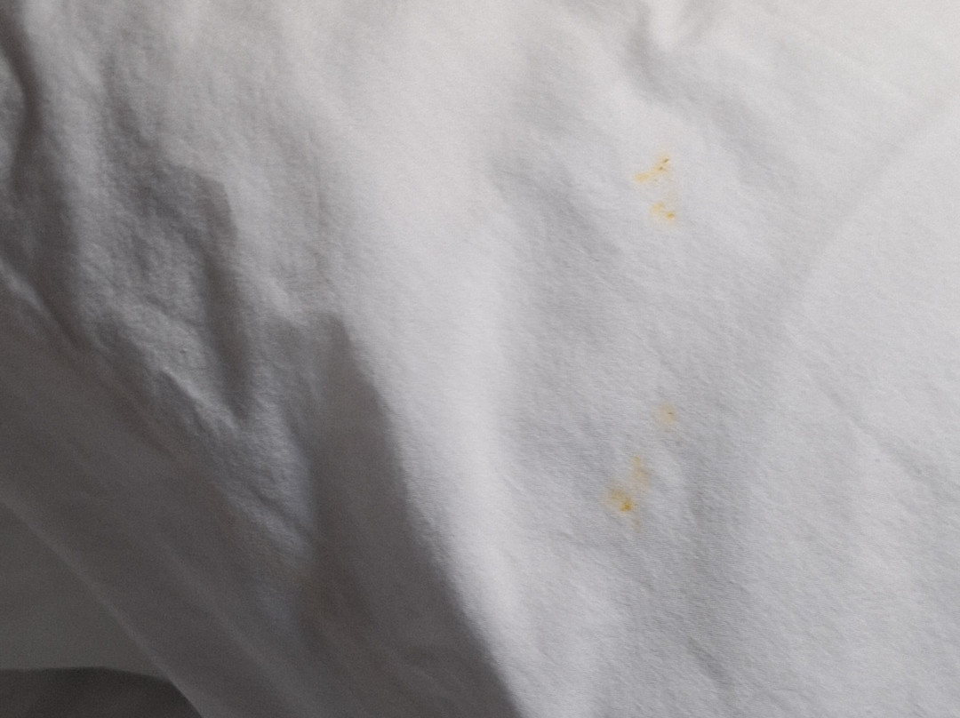 Red Roof Inn Columbus - Grove City主图