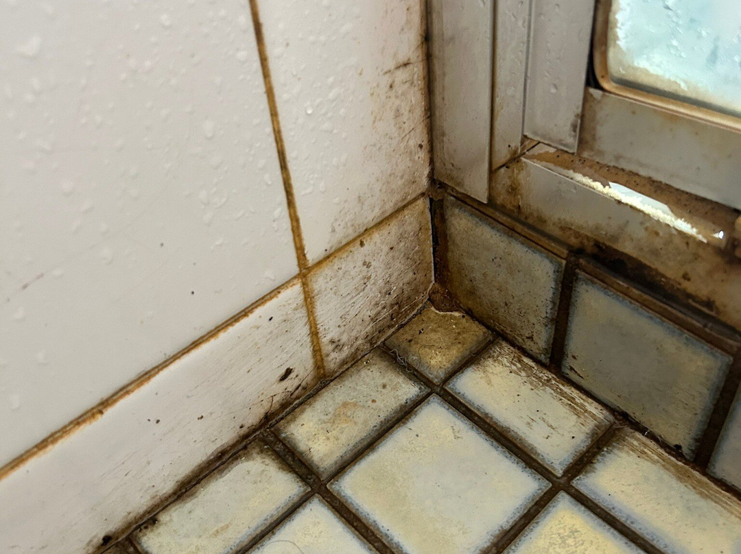 Peter Allen Motor Inn主图