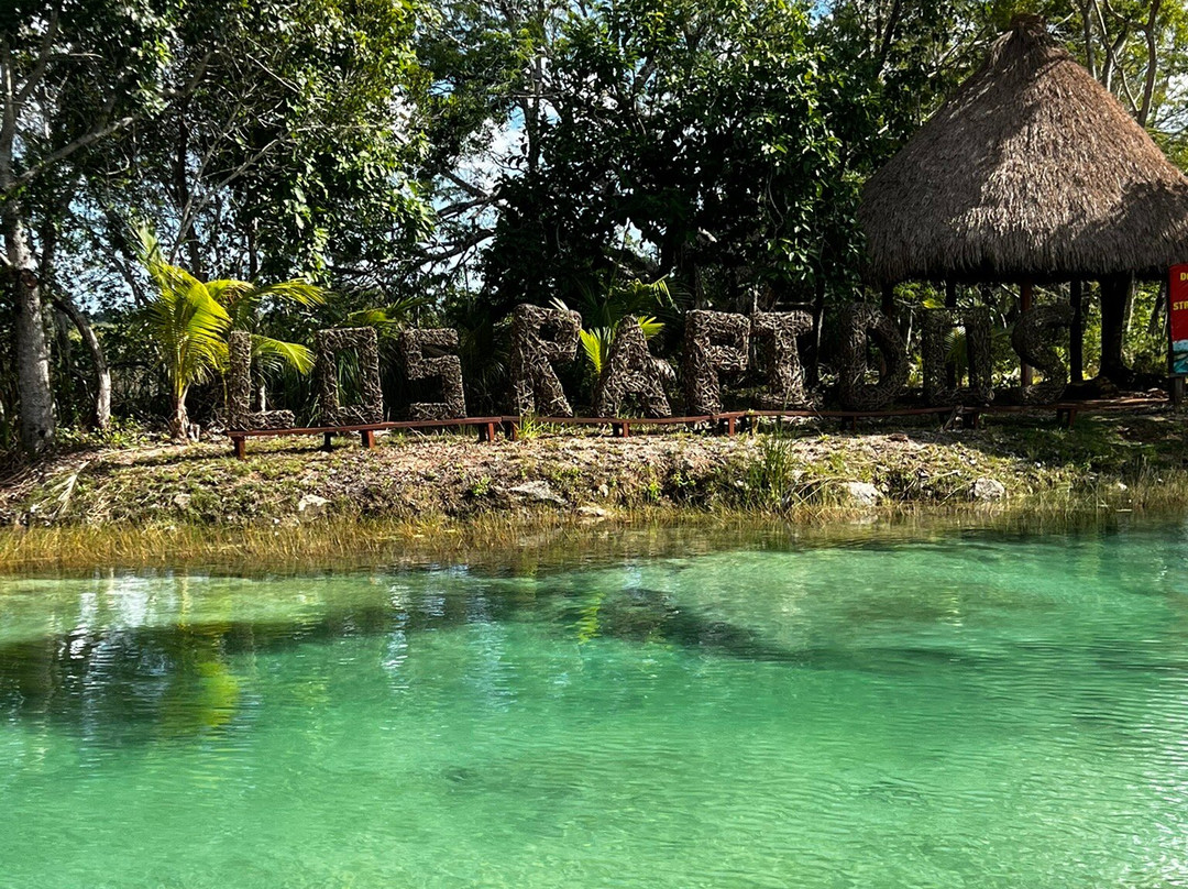 Stromatolites in Bacalar Rapids-Bacalar必去景点