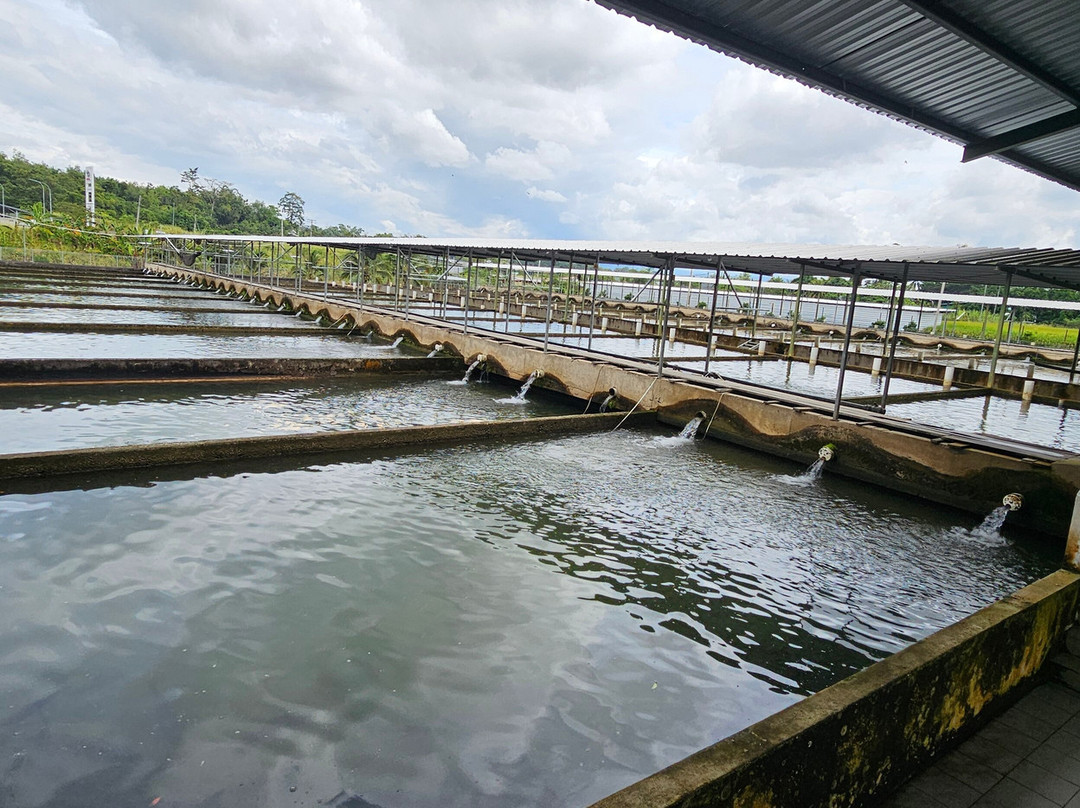 Yun Fook Trading (kolam Ikan)