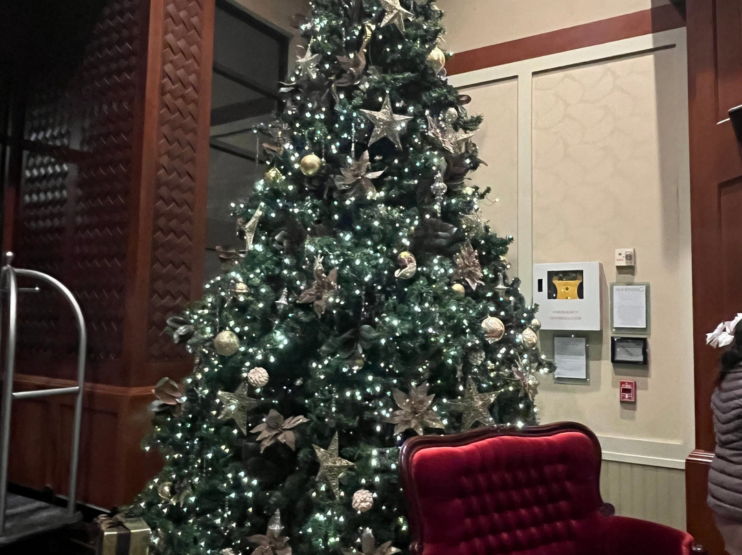 West Inn & Suites Carlsbad主图