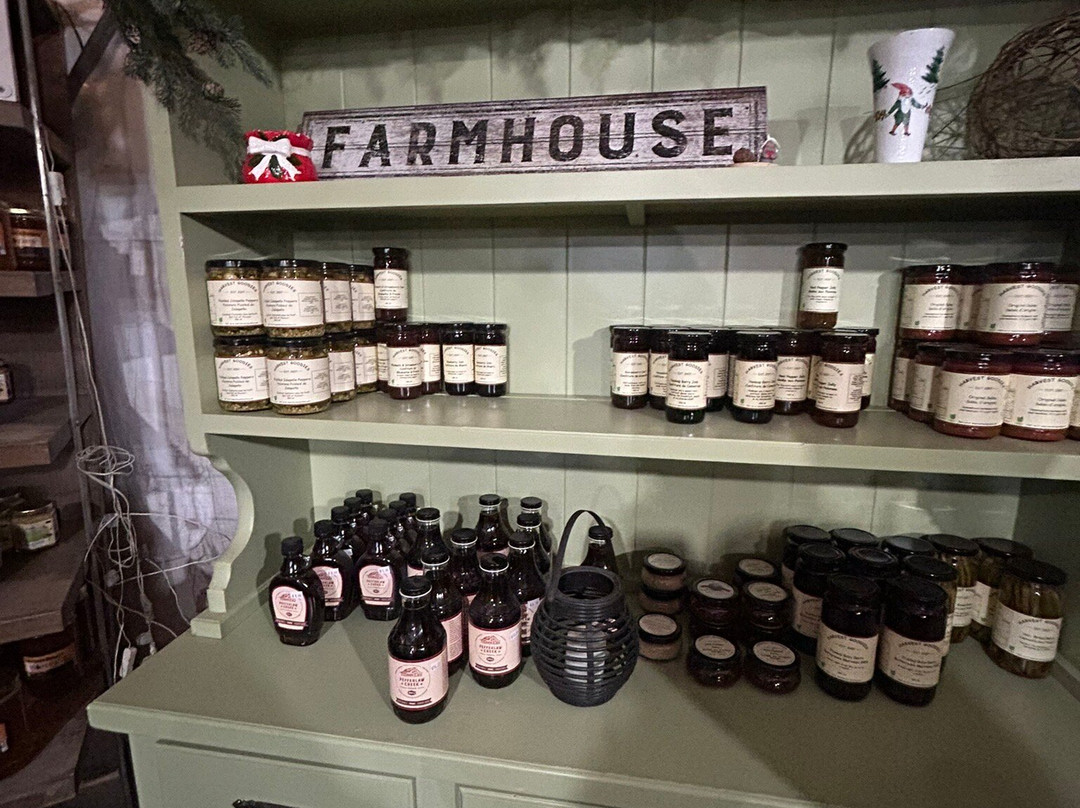 Niemi Family Farm-Mount Albert必去景点