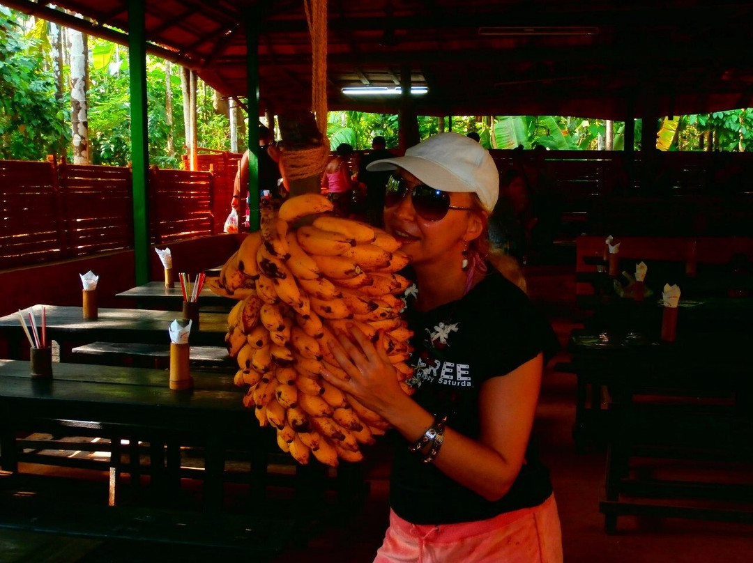 Dudhsagar Plantation-Mollem National Park必去景点