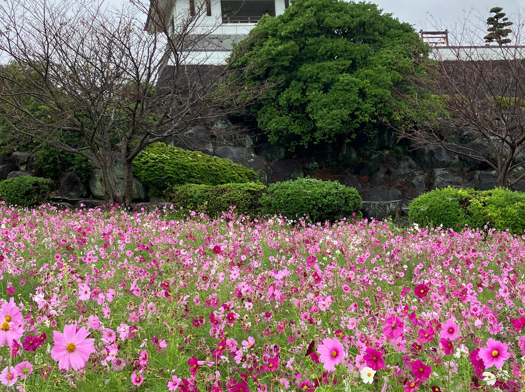Takezaki Castle Fort Observatory Park-太良町必去景点