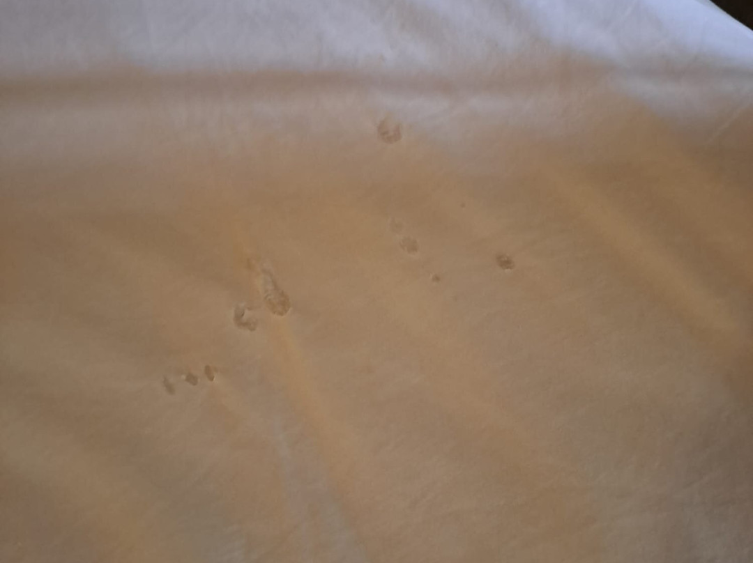 Clandestino Beach Resort主图