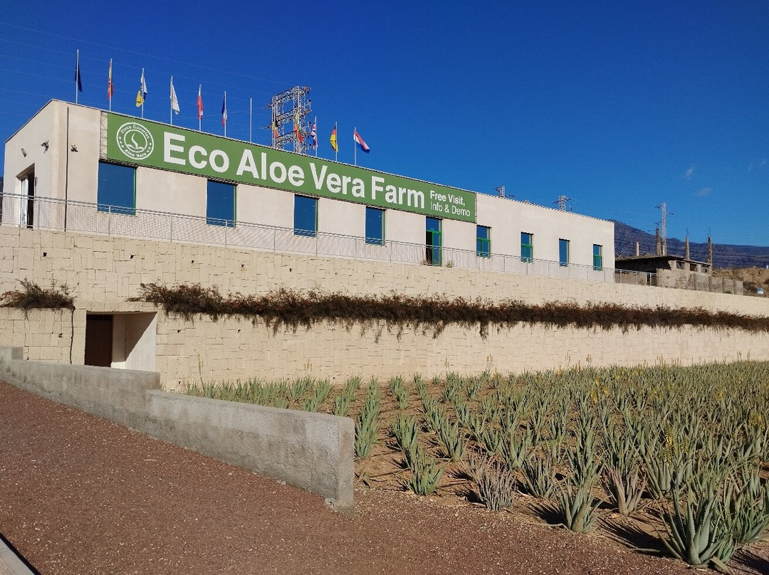 Finca Canarias Aloe Vera-Guimar必去景点