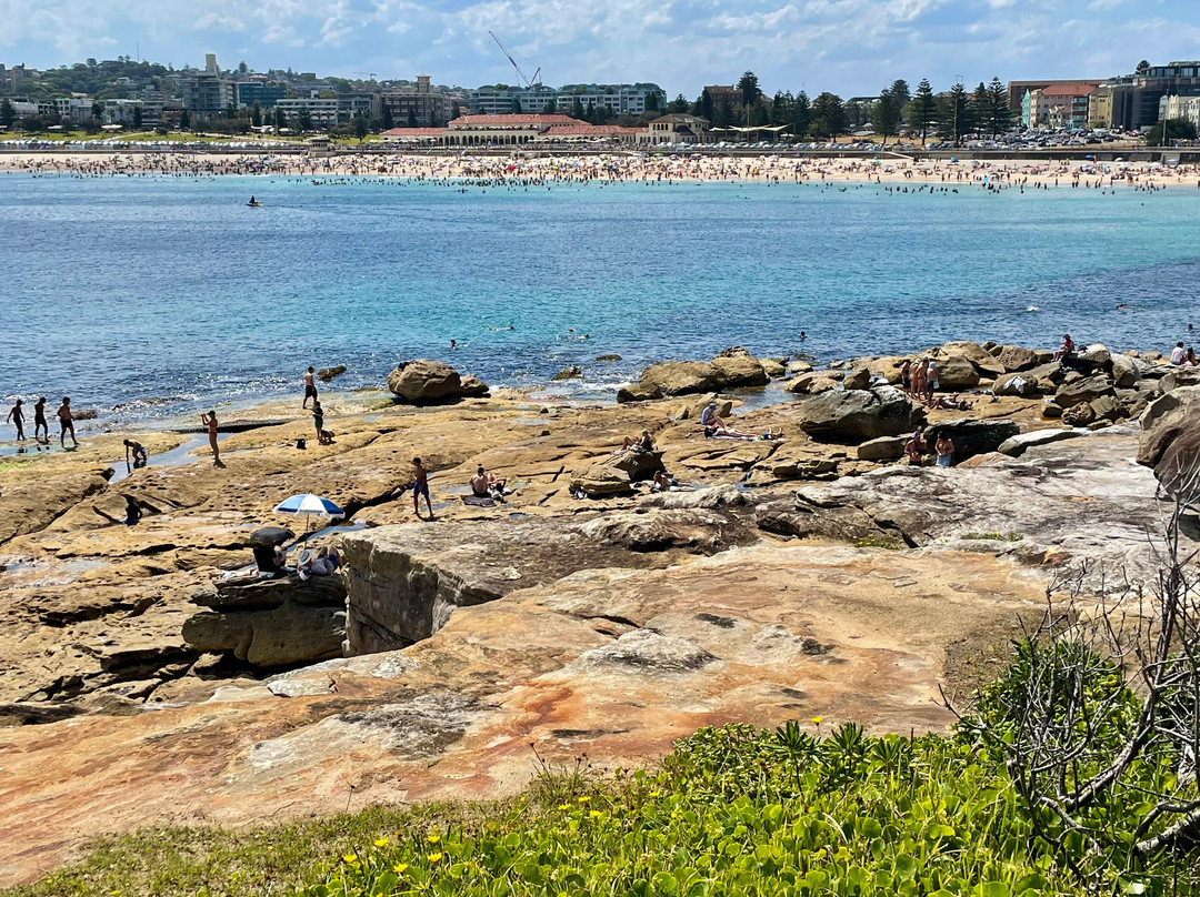 North Bondi Lookout景点图片