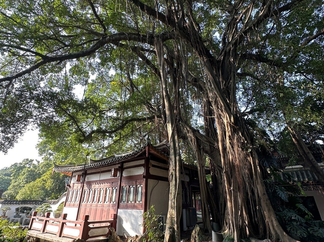 福州西湖公园景点图片