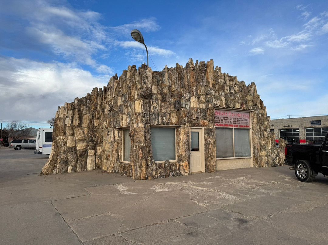 Petrified Wood Gas Station-Lamar必去景点