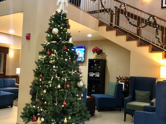 Comfort Inn Edinburg South主图