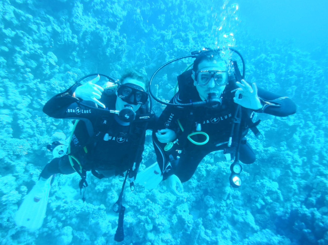 Sinai Dive Club-沙姆沙伊赫必去景点