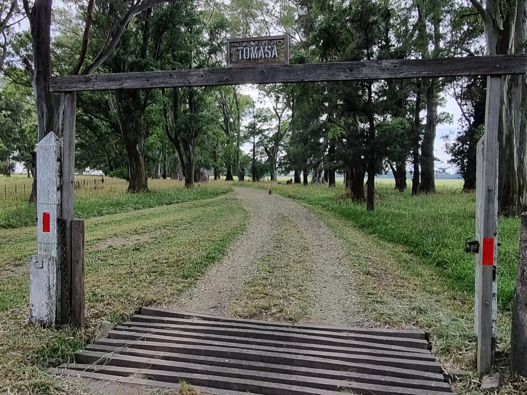 Las Flores酒店住宿-Estancia La Tomasa