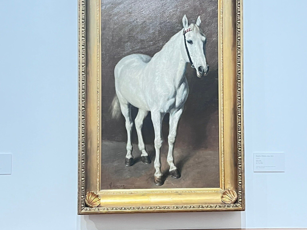 Latvian National Museum Of Art景点图片