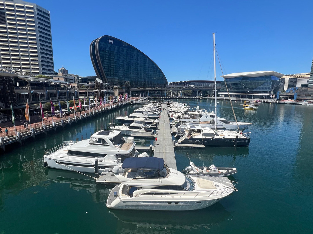 Pyrmont Bridge-悉尼必去景点