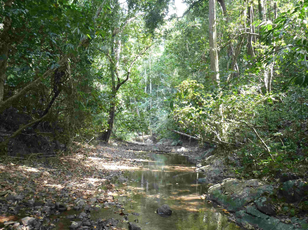 岗卡章国家公园-七岩必去景点