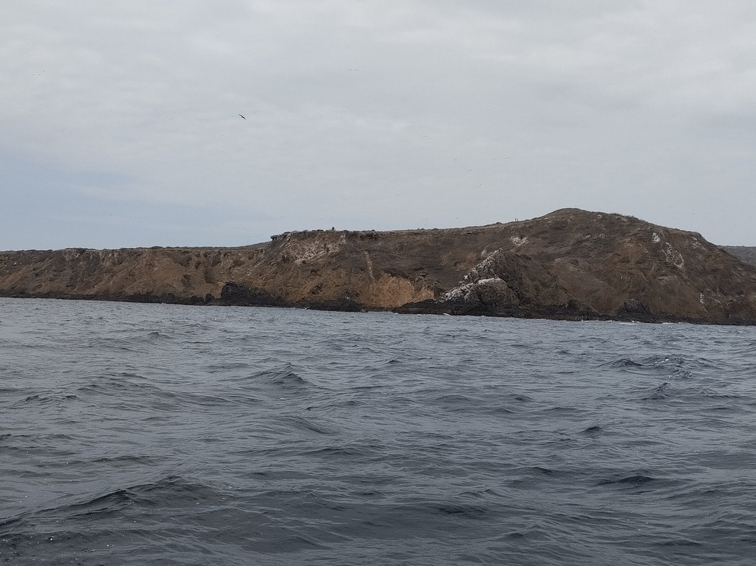 Isla de la Plata景点图片