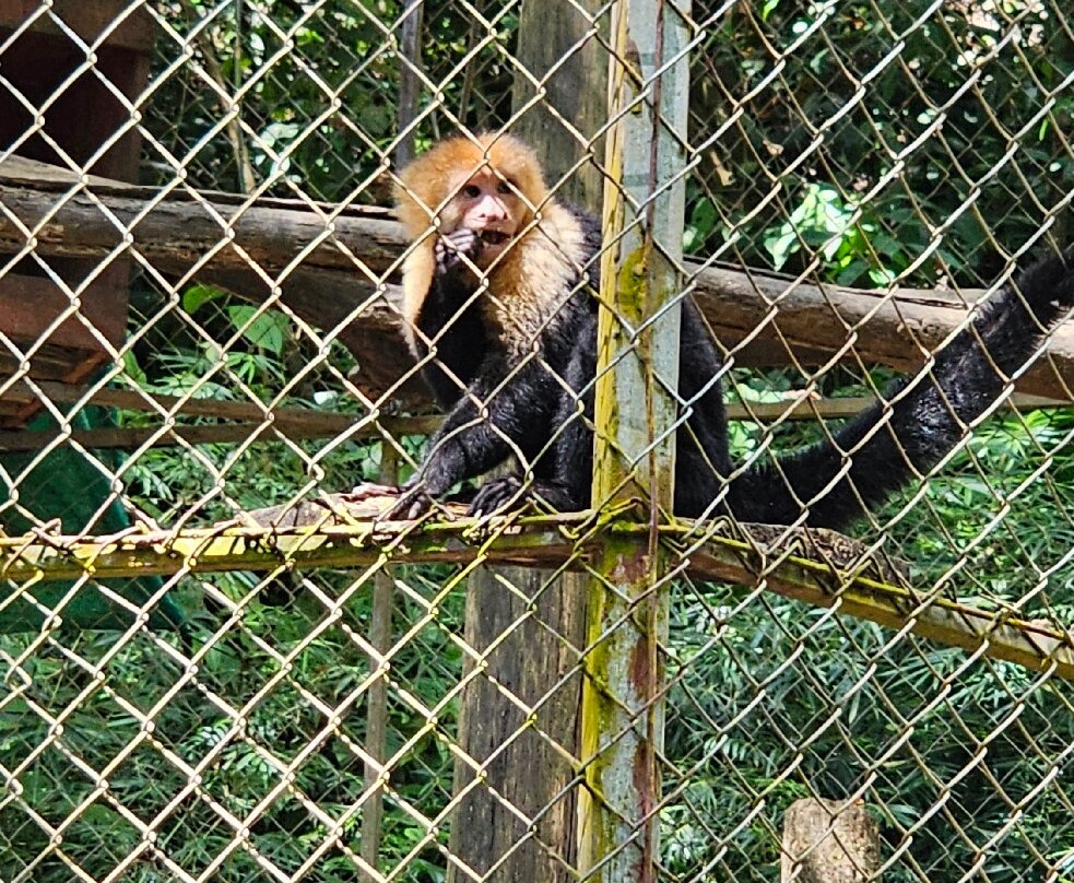 Alturas Wildlife Sanctuary-主日镇必去景点