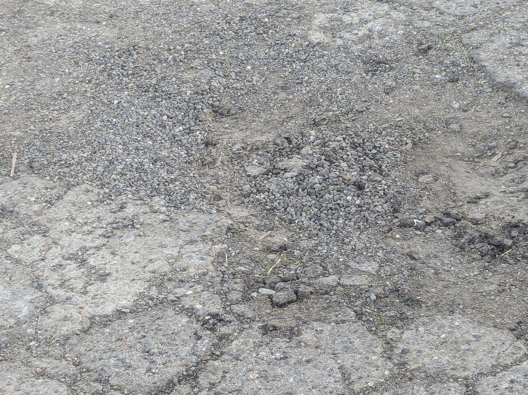 Travelodge by Wyndham Los Banos CA主图