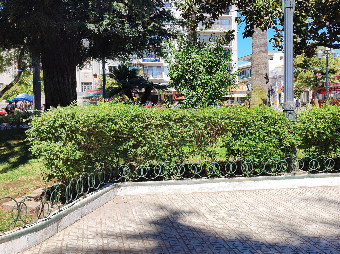 Plaza de Armas-塔尔卡必去景点