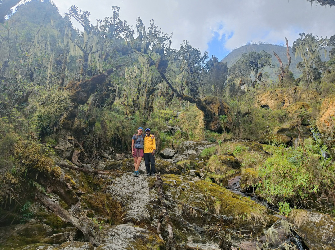 Rwenzori Trekking Services景点图片