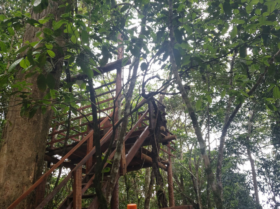 Ipe Park-Sao Benedito必去景点