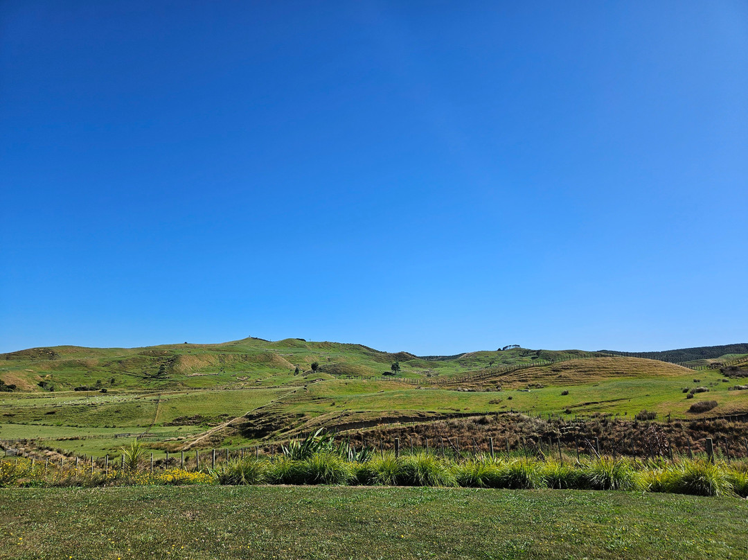 Te Karaka Station & Lodge主图