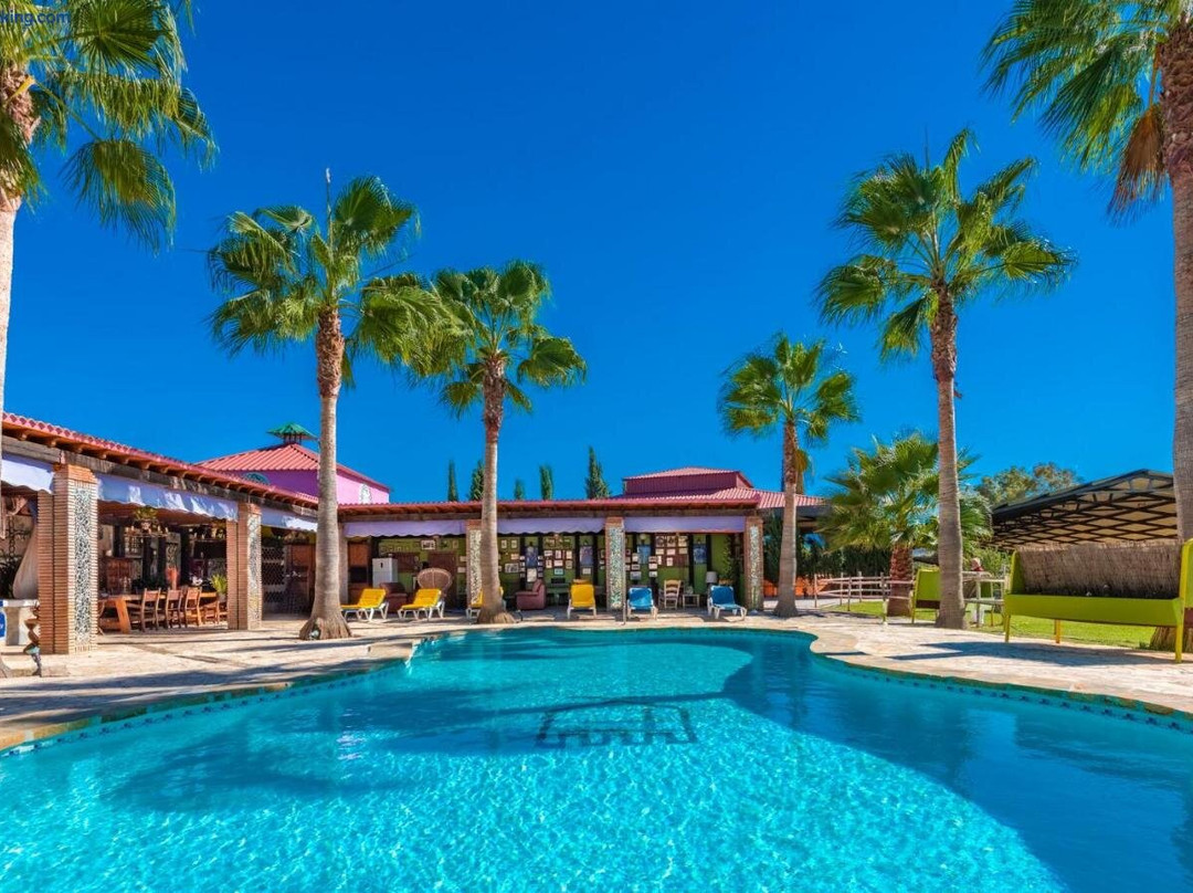 Coin, Andalucia, Horses Ecology and Hiking