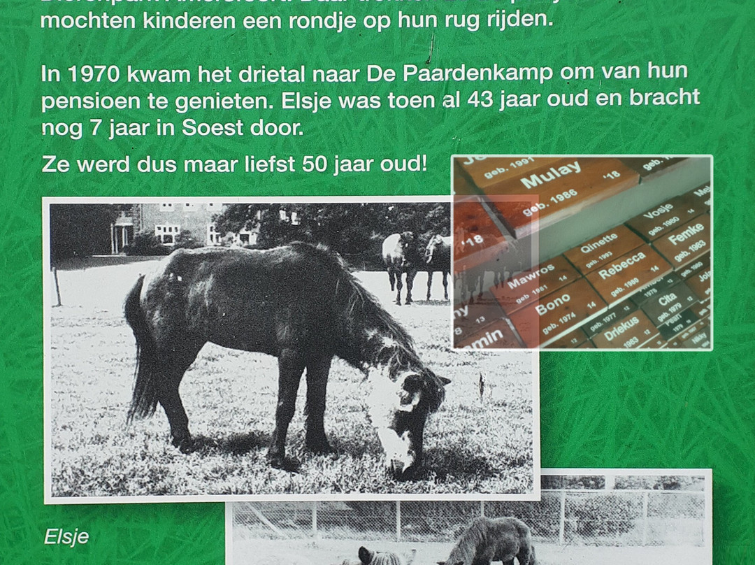 Boerderij Het Gagelgat-索斯特必去景点
