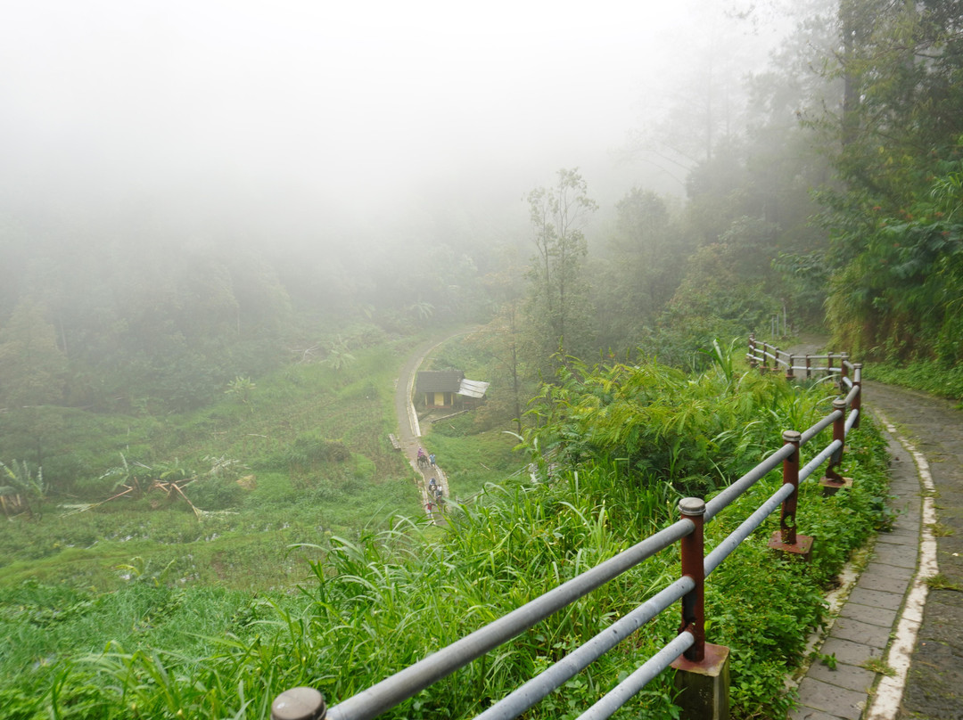 Gedong Songo Temple景点图片