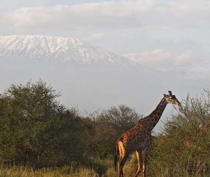 BuyMore Adventures-内罗毕必去景点