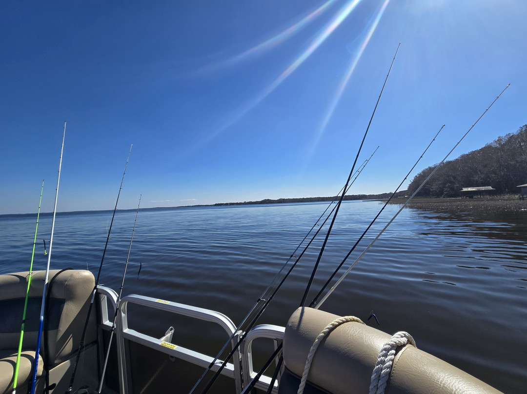 Lake Harris Boat Rentals景点图片