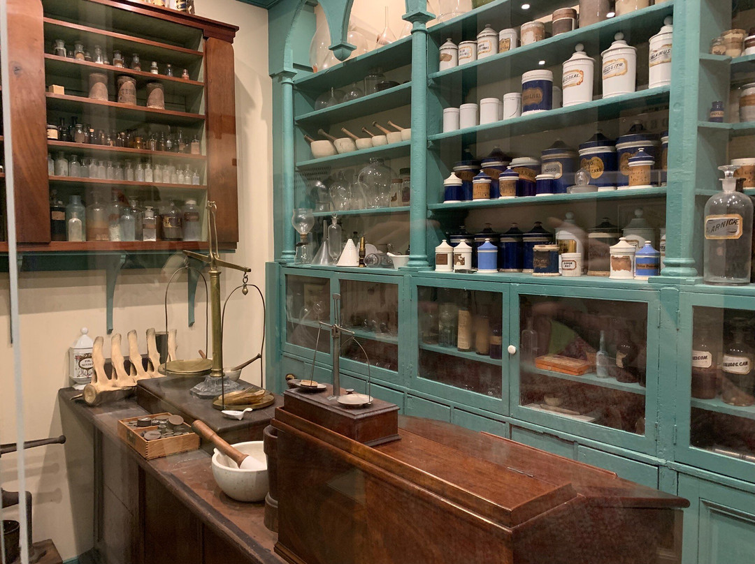 The Charleston Museum景点图片