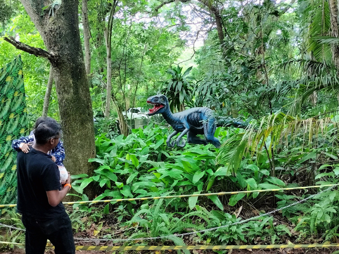 Dino Park-Port Shepstone必去景点